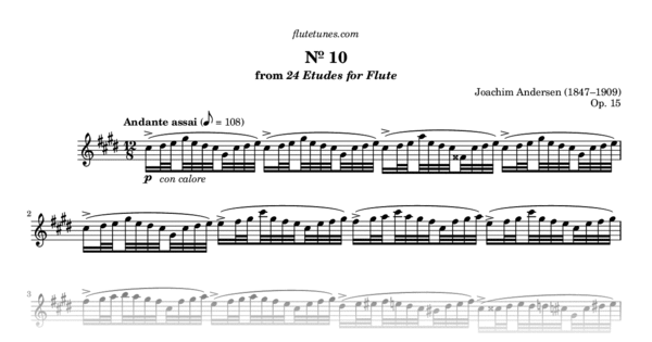 12-new-etudes