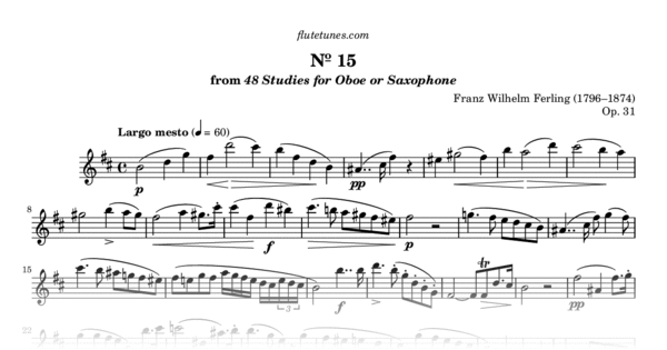 Modèle de flûte à bec soprano Schneider étudiant doigté allemand –  Musik-Ebert Gmbh
