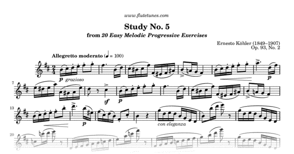 Study No. 5 in B minor from 20 Easy Melodic Progressive Exercises