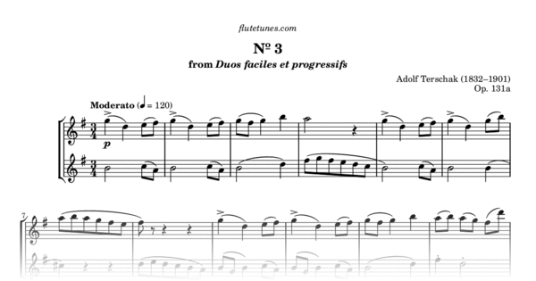 Duet No 3 In G Major From Duos Faciles Et Progressifs A Terschak Free Flute Sheet Music 9490