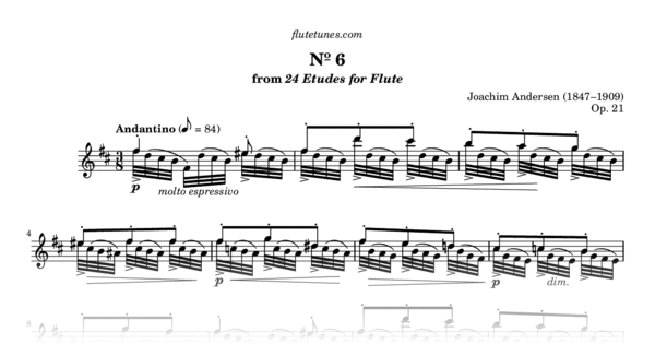 Study No. 6 in B minor from 24 Etudes for Flute, Op. 21 (J. Andersen ...