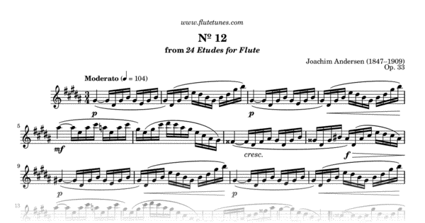 Study No. 12 in G-sharp minor from 24 Etudes for Flute, Op. 33 (J ...