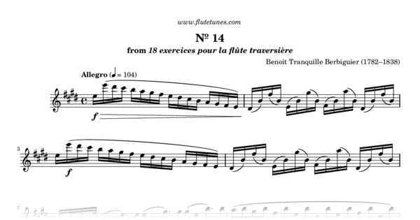 Study No. 14 in E major from 18 Exercises or Etudes for Flute (B.T ...