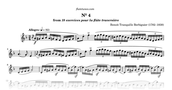 Study No. 4 in D minor from 18 Exercises or Etudes for Flute (B.T ...