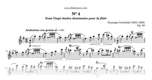 Study No. 4 in E minor from Vingt études chantantes pour la flûte (G ...